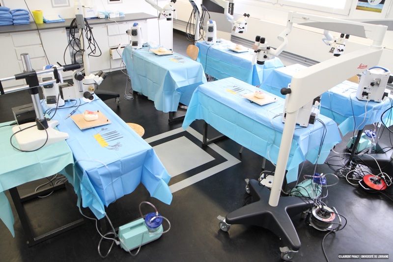 école de chirurgie